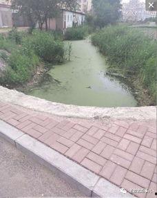 营口老边区爆料事件最新,真相揭开，疑云散去，居民生活回归平静  第1张