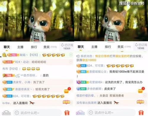 皮皮宝宝最新爆料,娱乐圈最新爆料大起底！  第2张