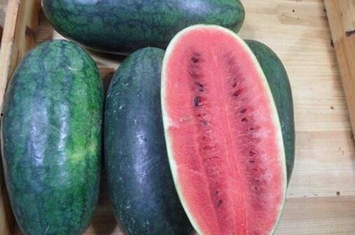 山东网红团队吃瓜,揭秘幕后美食风云 第1张 山东网红团队吃瓜,揭秘幕后美食风云 第1张